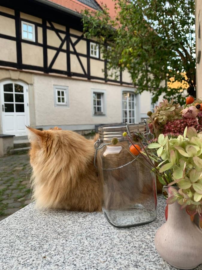 Studio Auf Denkmalgeschuetztem Dreiseithof In Hoefgen Bei Grimma Hofgen  المظهر الخارجي الصورة